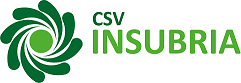 CSV Insubria piccolo