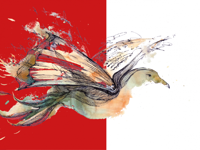 Il folle Volo