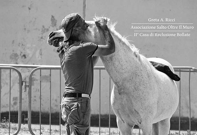 Giornata introduttiva alla riflessologia per il cavallo