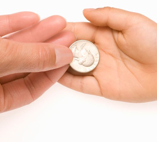 Raccolta fondi