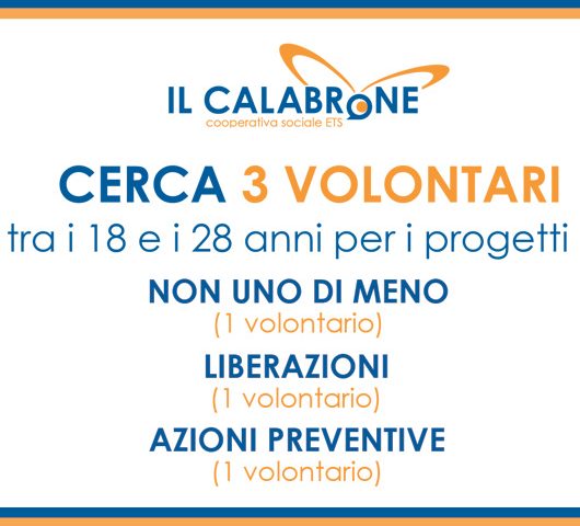SCU-Calabrone