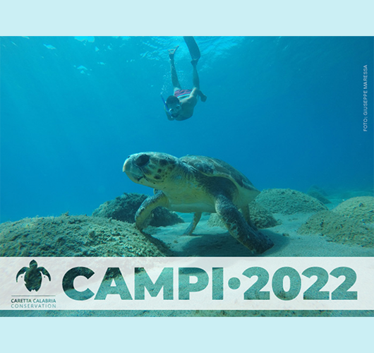 Volontariato con Caretta Calabria Conservation - CSV Lombardia