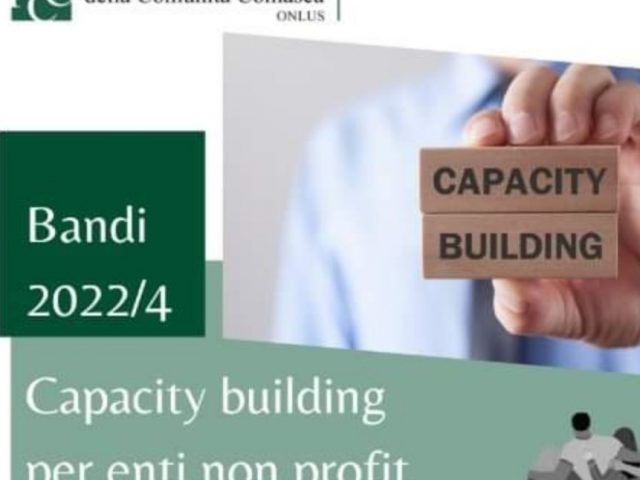 Bando capacity building Fondazione provinciale comunità comasca