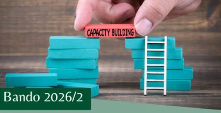 Bando capacity building