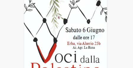 Voci dalla palestina erba