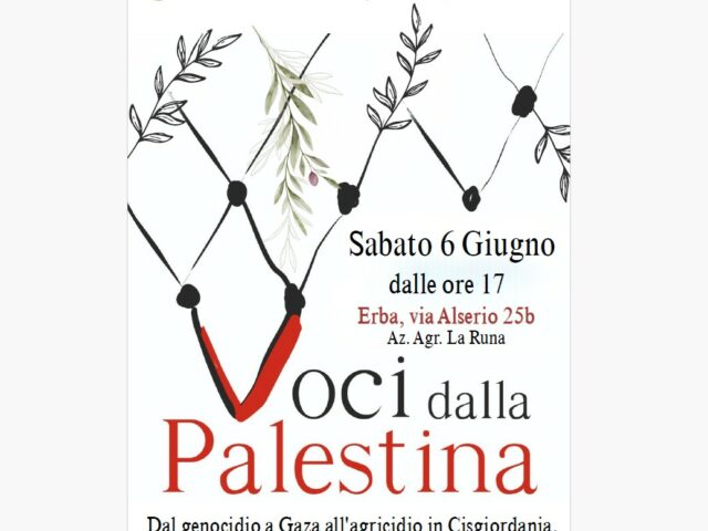 Voci dalla palestina erba